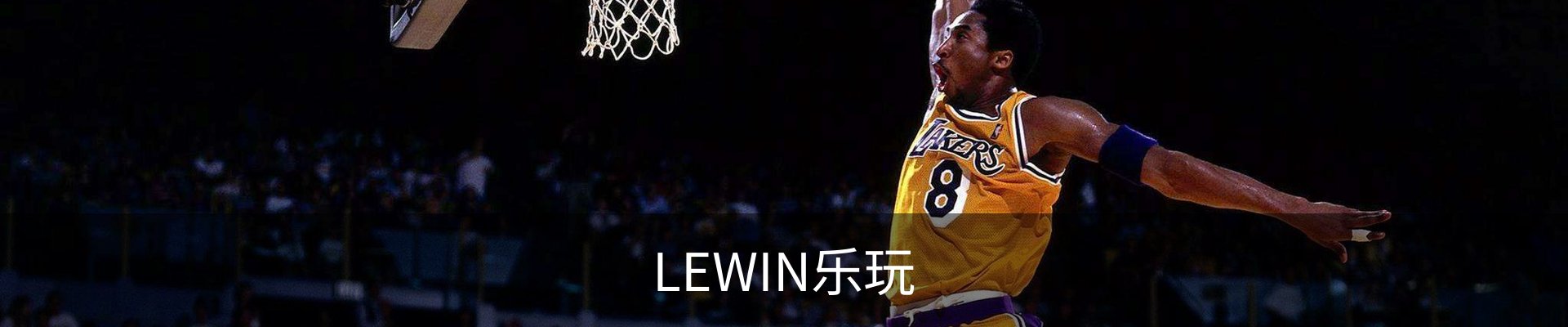 LEWIN乐玩